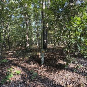 Photo #26 of 7192 Nc 87, Pittsboro, NC 25.6 acres