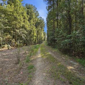 Photo #13 of 7192 Nc 87, Pittsboro, NC 25.6 acres