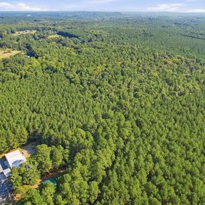 Photo #7 of 7192 Nc 87, Pittsboro, NC 25.6 acres