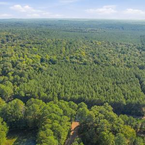 Photo #11 of 7192 Nc 87, Pittsboro, NC 25.6 acres