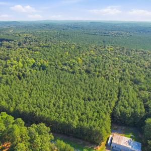 Photo #10 of 7192 Nc 87, Pittsboro, NC 25.6 acres