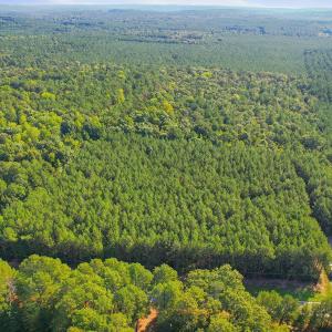 Photo #12 of 7192 Nc 87, Pittsboro, NC 25.6 acres