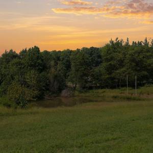Photo #1 of Lot 1 Boogaboo, Rougemont, NC 3.5 acres