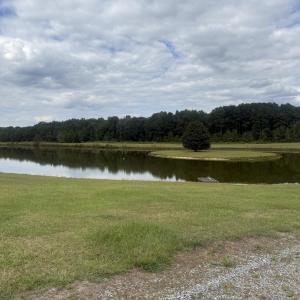 Photo #3 of 438 Lake Magnolia, Smithfield, NC 2.8 acres