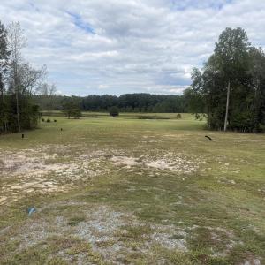 Photo #1 of 438 Lake Magnolia, Smithfield, NC 2.8 acres