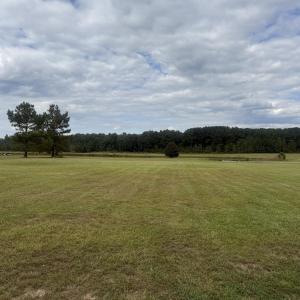 Photo #2 of 438 Lake Magnolia, Smithfield, NC 2.8 acres