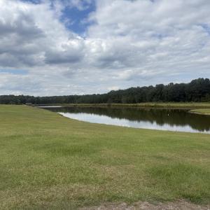 Photo #4 of 438 Lake Magnolia, Smithfield, NC 2.8 acres