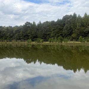 Photo #8 of 438 Lake Magnolia, Smithfield, NC 2.8 acres