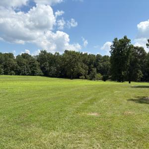 Photo #1 of Pleasants, Wendell, NC 10.6 acres