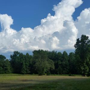 Photo #4 of Pleasants, Wendell, NC 10.6 acres