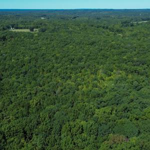 Photo #9 of Ralph Moore, Bear Creek, NC 25.0 acres