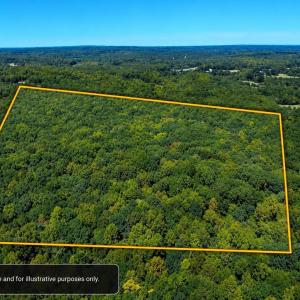 Photo #13 of Ralph Moore, Bear Creek, NC 25.0 acres