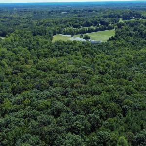 Photo #12 of Ralph Moore, Bear Creek, NC 25.0 acres