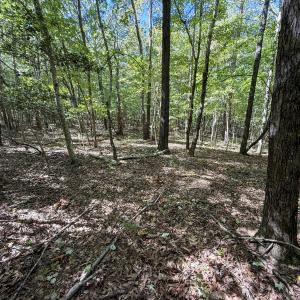 Photo #6 of Ralph Moore, Bear Creek, NC 25.0 acres