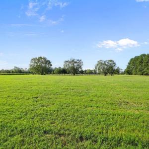 Photo #9 of Aman Dairy, Dunn, NC 6.6 acres