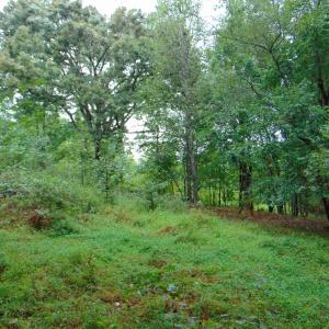 Photo #18 of County Home Rd., Yanceyville, NC 29.8 acres