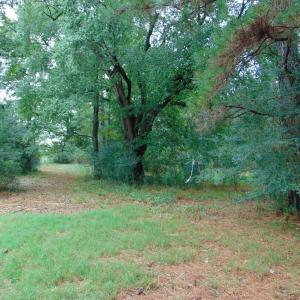 Photo #15 of County Home Rd., Yanceyville, NC 29.8 acres