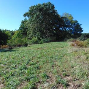 Photo #27 of County Home Rd., Yanceyville, NC 29.8 acres