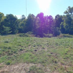 Photo #26 of County Home Rd., Yanceyville, NC 29.8 acres