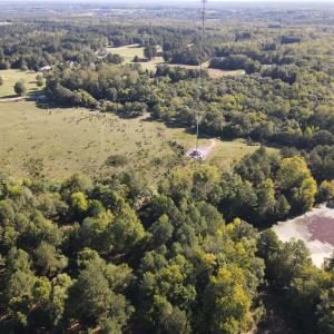 Photo #14 of County Home Rd., Yanceyville, NC 29.8 acres