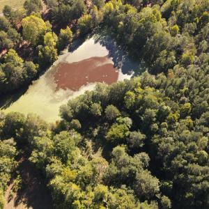 Photo #5 of County Home Rd., Yanceyville, NC 29.8 acres