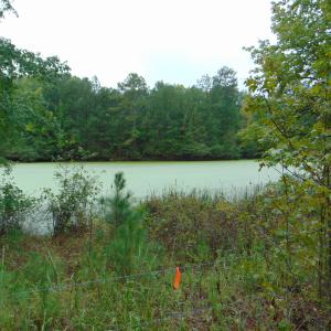 Photo #21 of County Home Rd., Yanceyville, NC 29.8 acres