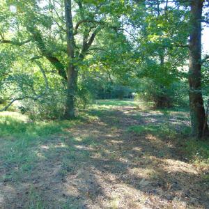 Photo #28 of County Home Rd., Yanceyville, NC 29.8 acres