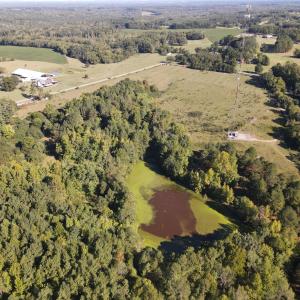 Photo #6 of County Home Rd., Yanceyville, NC 29.8 acres