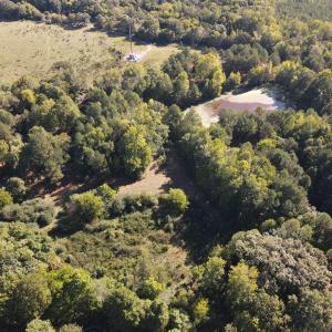 Photo #4 of County Home Rd., Yanceyville, NC 29.8 acres