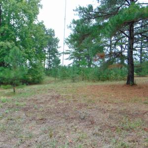 Photo #23 of County Home Rd., Yanceyville, NC 29.8 acres
