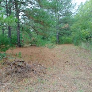 Photo #22 of County Home Rd., Yanceyville, NC 29.8 acres