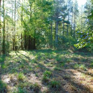 Photo #29 of County Home Rd., Yanceyville, NC 29.8 acres