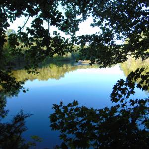 Photo #24 of Allen Jarrett, Mebane, NC 10.0 acres