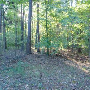 Photo #16 of Allen Jarrett, Mebane, NC 10.0 acres