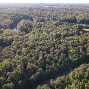 Photo #12 of Allen Jarrett, Mebane, NC 10.0 acres