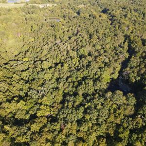Photo #9 of Allen Jarrett, Mebane, NC 10.0 acres