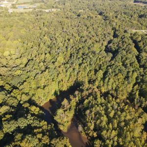 Photo #8 of Allen Jarrett, Mebane, NC 10.0 acres