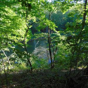 Photo #21 of Allen Jarrett, Mebane, NC 10.0 acres
