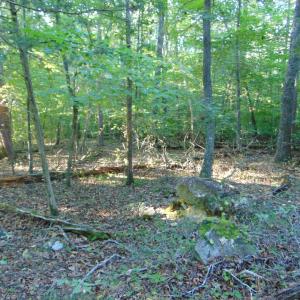 Photo #17 of Allen Jarrett, Mebane, NC 10.0 acres
