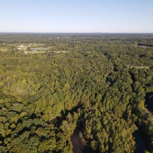 Photo #6 of Allen Jarrett, Mebane, NC 10.0 acres