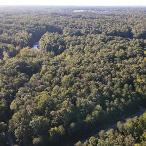 Photo #13 of Allen Jarrett, Mebane, NC 10.0 acres