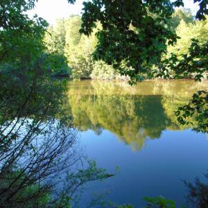 Photo #25 of Allen Jarrett, Mebane, NC 10.0 acres