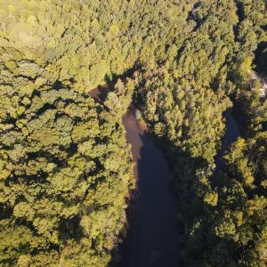 Photo #7 of Allen Jarrett, Mebane, NC 10.0 acres
