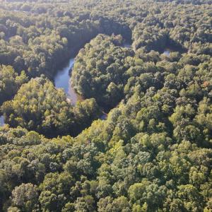 Photo #10 of Allen Jarrett, Mebane, NC 10.0 acres