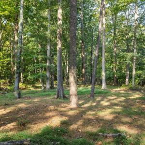 Photo #10 of 8132 Rhodes, Apex, NC 1.0 acres
