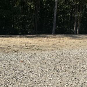 Photo #6 of 41 Clayton, Clayton, NC 0.7 acres