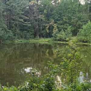 Photo #30 of Flat Rock Church, Louisburg, NC 33.6 acres