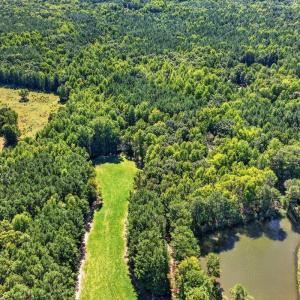 Photo #6 of Flat Rock Church, Louisburg, NC 33.6 acres