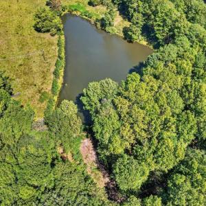 Photo #26 of Flat Rock Church, Louisburg, NC 33.6 acres