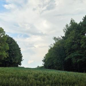 Photo #34 of Flat Rock Church, Louisburg, NC 33.6 acres